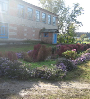 Img_1245_medium