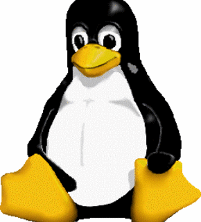 Custom_1219331187_1200590242_linux_medium