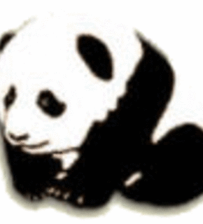 Panda2_medium