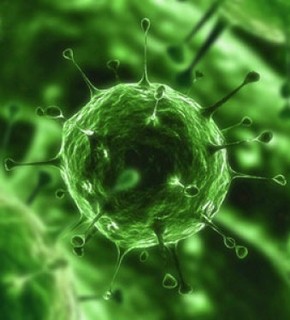 Hiv_virus_400_thumb_medium